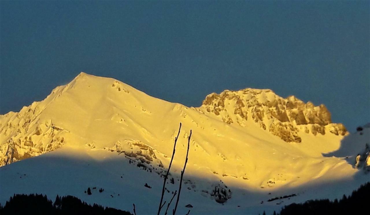 Laubrinus Lejlighed Adelboden Eksteriør billede