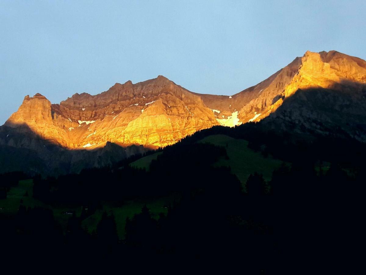 Laubrinus Lejlighed Adelboden Eksteriør billede